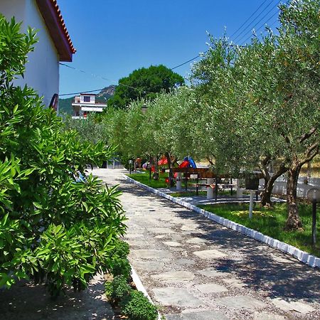 Dimos Bungalows PalaiónTsiflíkion Exteriér fotografie