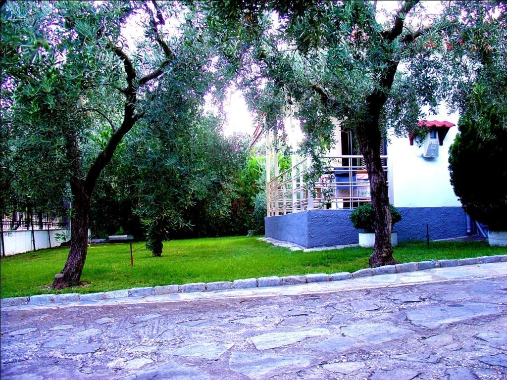 Dimos Bungalows PalaiónTsiflíkion Pokoj fotografie